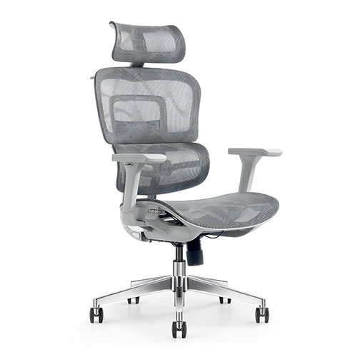  Iron ergonomic Chair