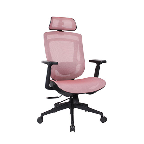 Raymour ergonomic Chair